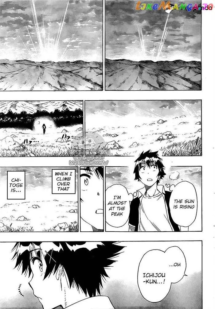 Nisekoi Chapter 224 image 17_optimized